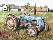 1964 Fordson Dexta