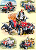 SIMON AND THE QUAD BIKES